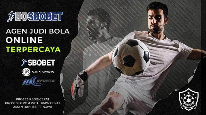 Agen Dipercaya Terbaik untuk Anda